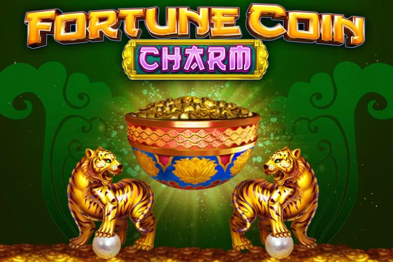 Fortune Coin Charm